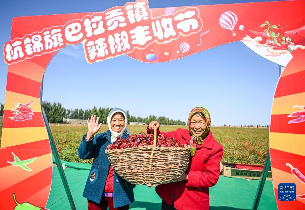 博狗投注网
